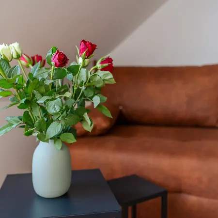 Apartment Muenster Loft No 3 *