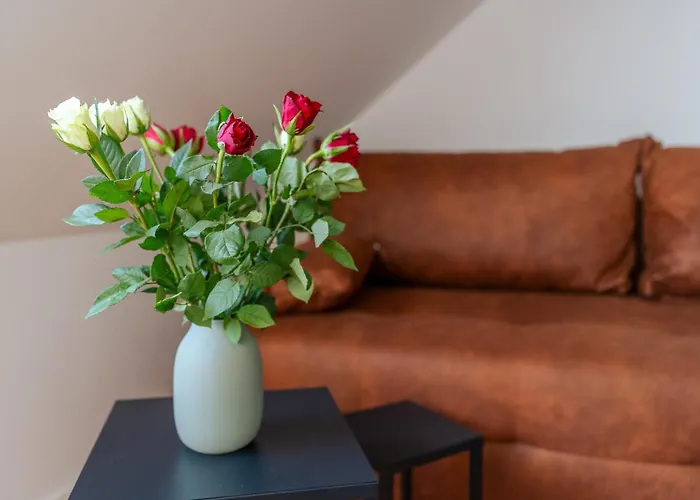 Apartament Muenster Loft No 3 *